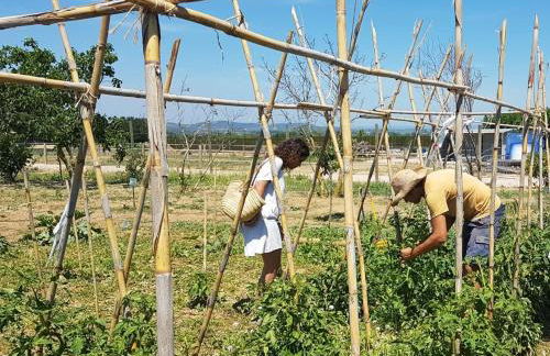 Apartamento en casa de campo cerca de la playa - Foto 20