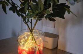 Corte Garibaldi - Foto 2