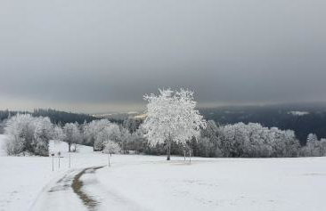 Ferienwohnung Alpenblick - Foto 18