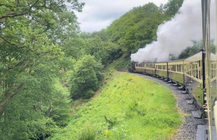 Penestaer - Photo 41