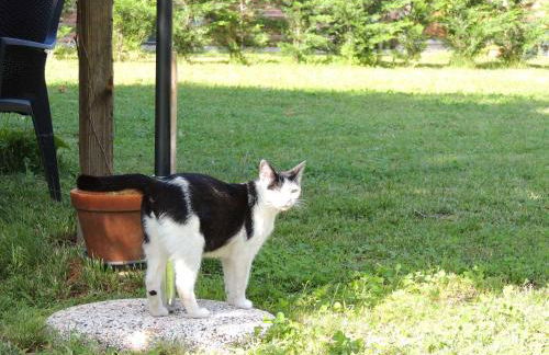 Corte dell'Uva - Foto 73