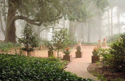 Renovated 2BR by Riverwalk & Medical District - Foto 32