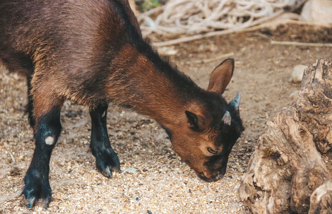 Quinta Nossa Senhora da Saúde - Foto 31