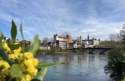 Magnolia : Superbe deux-pièces quartier du Château - Foto 15