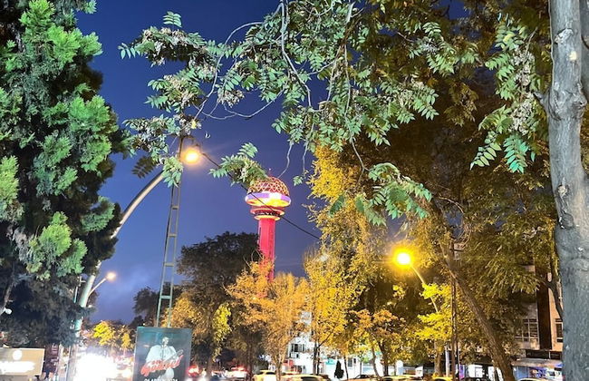 Kaira Homes Rentals and Accomodations - Foto 68