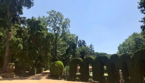 Quinta da Bizelga Cottages - Foto 4, Garden