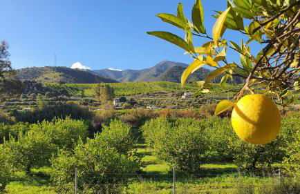 La Estación del Amor - Casa Rural con private pool - Foto 16