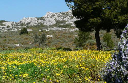luxury mas with private infinity pool in the heart of the alpilles, 10 persons - Foto 14
