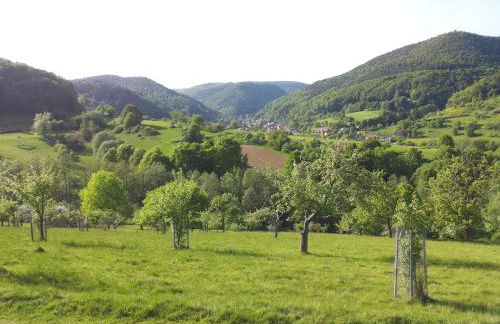 Ferienwohnung am Sulzbach - Photo 29