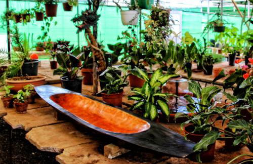 FINCA BEROLO 1 - Foto 33