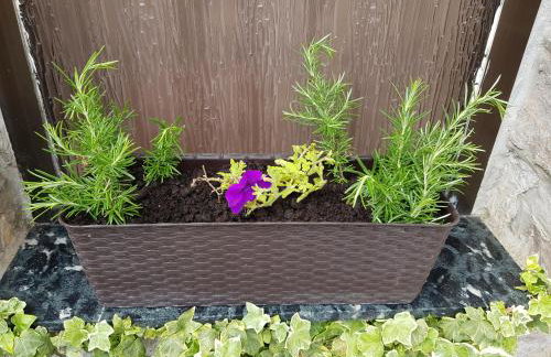 Apartments Dora and Tonka Krk - Foto 23