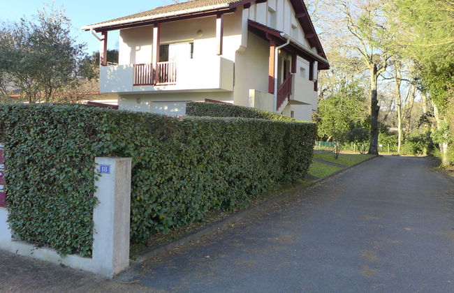 Les écureuils - Foto 13