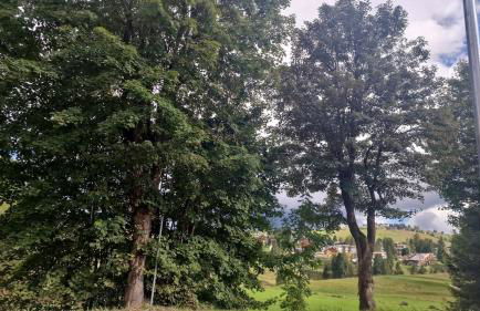 L'appartamento pianoterra - Foto 11