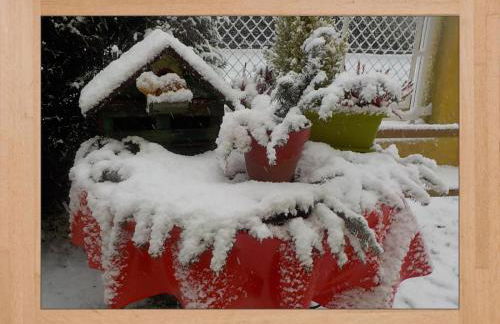 LES HORTENSIAS - Foto 28