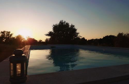 Monte do Rochinha - Foto 73