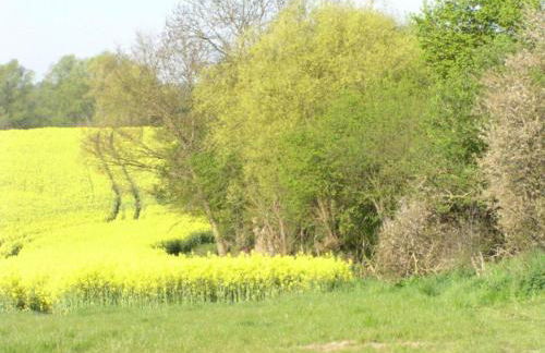 Wohnung in Satow mit Garten - Photo 39