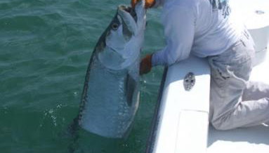 Venice Florida near beach - Foto 5