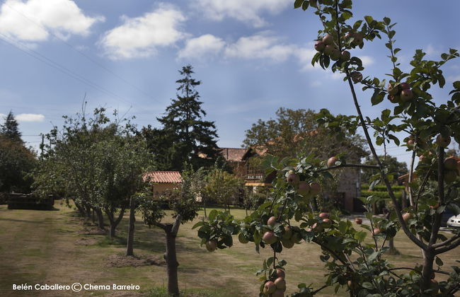 La Casona de Quintes - Foto 31