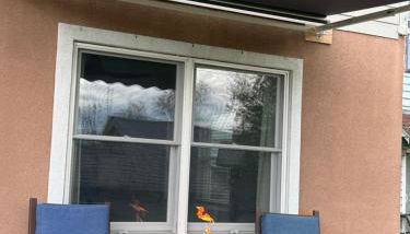 Central Lake Placid Hideaway - Foto 3