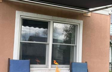 Central Lake Placid Hideaway - Foto 3