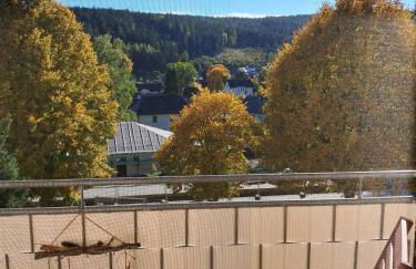 Gemütliche Ferienwohnung mit Sauna und Balkon im Zentrum von Bad Elster - Photo 13