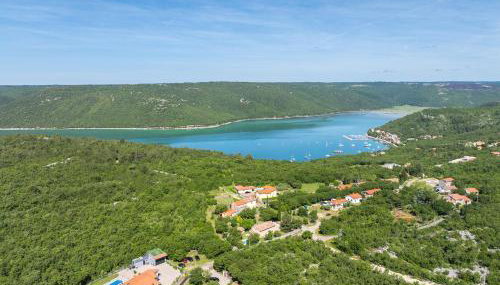 House Trget - Foto 4