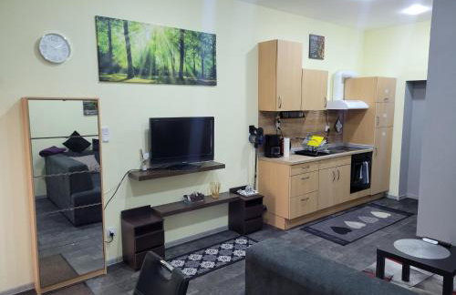 Wohnung in Elz - Foto 4