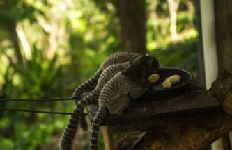 Pousada Fazenda Monjolos - Foto 7