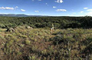 Casa El Encuentro - Turégano Segovia - Foto 50