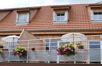 Gîte Binnert Bader - Foto 28