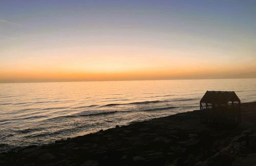 Cortecasa, between the sea and nature - Foto 18