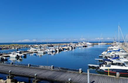 Ferienhaus Springborn Ferienoase zwischen Strand, Feld und Wald - Foto 30