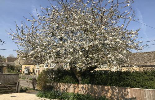 Cherry Tree Cottage - Foto 33