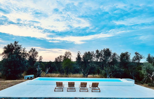 Fazenda do Pomar - Foto 45