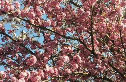 Charmant gîte près d'Angers avec extérieur privé - FR-1-622-93 - Photo 29