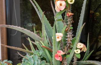 Natalia s Apartment in Tavronitis - Foto 71