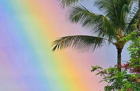 Hale Mapuana - Foto 52