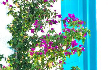 Unique Beachfront Cottage House - Private Garden - Foto 38