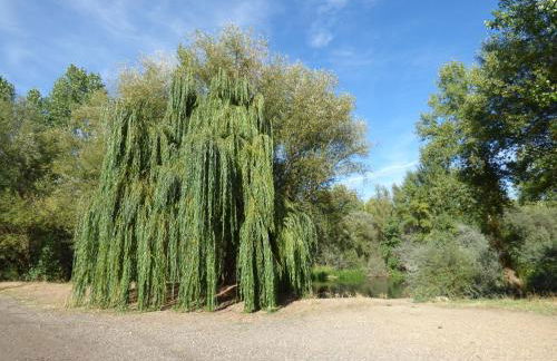 Casa galana - Foto 52