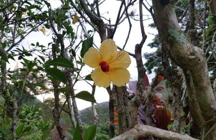 Residencial Flor- Hilda - Foto 33