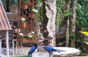 Pousada Siroba BEIRA RIO - Photo 37