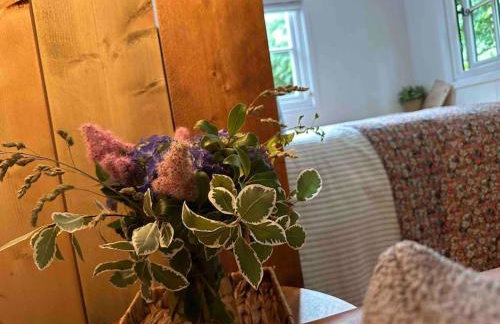 Cornwall Woodland Shepherd's Hut with Hot Tub - Deirdres Hut - Foto 35