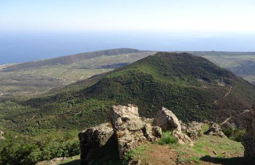 2 Gatti - Sogno - Foto 16