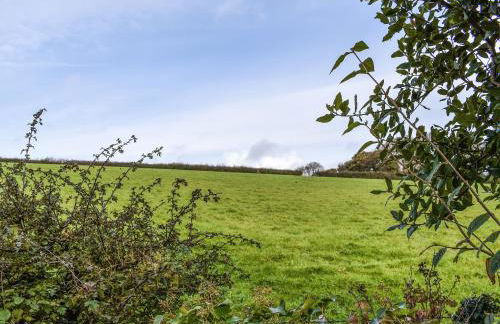 Field View - Foto 11