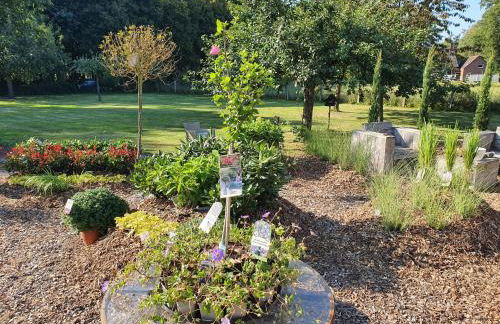 Weberhof-Münster 2 - Foto 63