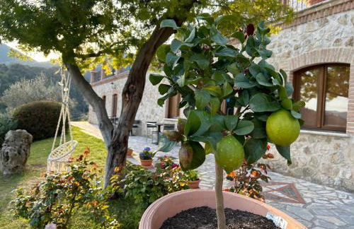 La Tenuta dei Fiori - Foto 37