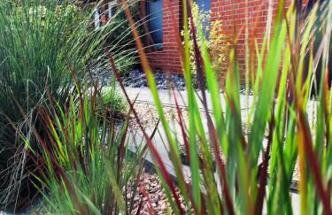 Ferienwohnungen Auetal - Foto 21