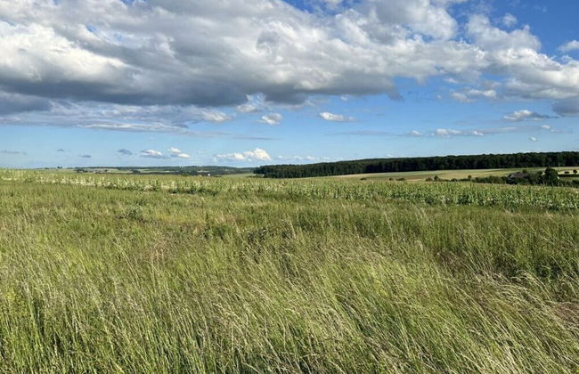 Holiday Home Country House on Himmelsberg - Foto 23