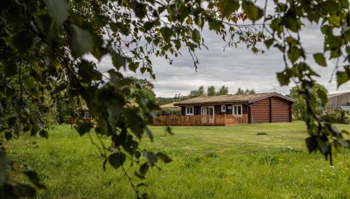 Quail Lodge - Nordic Log Cabin - Foto 2