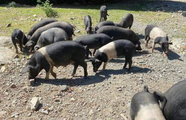 Résidence EMILIA - Foto 80